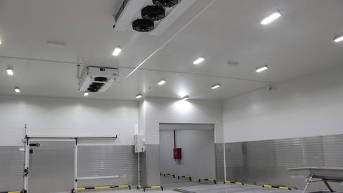 照明器具照明 - CANTEK Cold Storage - Meat Processing - LED / 蛍光