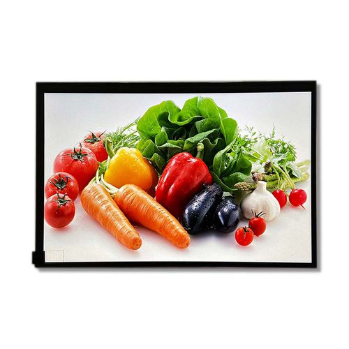 10.1インチディスプレイ モジュール - HG101WU065 - Shenzhen Hongguang Display Co., Ltd - TFT LCD / IPS方式 / カラー