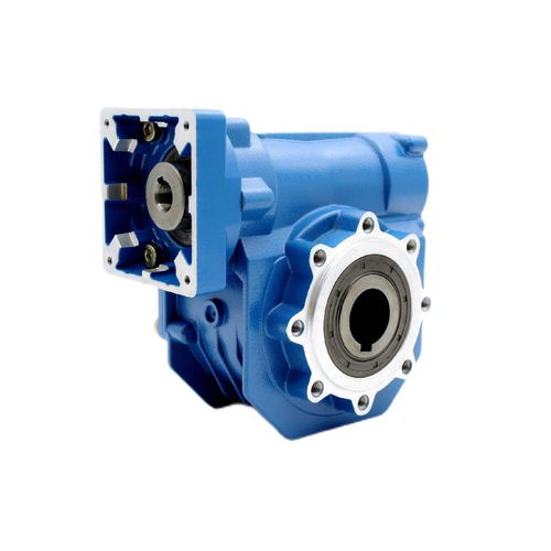 ウォーム歯車減速機 - CYVF 63 - Chenyue (Jiangsu) Technology Co., Ltd. - 直交軸 / 中実軸 / 両軸