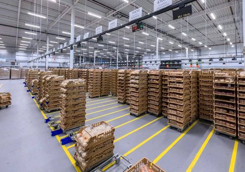 プットトゥライトオーダピッキングシステム - Pcdata Logistics Automation - たばこ産業用 / 化粧品産業用 / イントラロジスティクス用