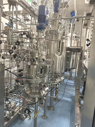 ステンレス製タンク - BP-F - Nanjing BioPAS Pharmaceutical Equipment Technology Co.Ltd - 発酵用 / 実験用 / 医療用