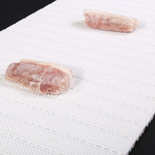 モジュール式コンベアベルト - HS-100AN/50.8mm picth - Huanan Xinhai (Shenzhen) Technology Co.,Ltd. - ポリアセタール（POM） / 食品産業用 / 激しい使用に耐える