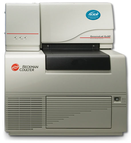 データ用分析装置 - GenomeLab GeXP - SCIEX - 試料