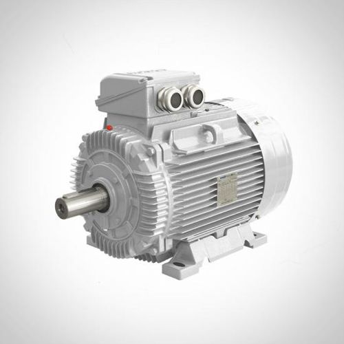 非同期モーター - SWE series - Fuzhou Wonder Electric Co.,Ltd. - 3相 / 400V / 鋳鉄製