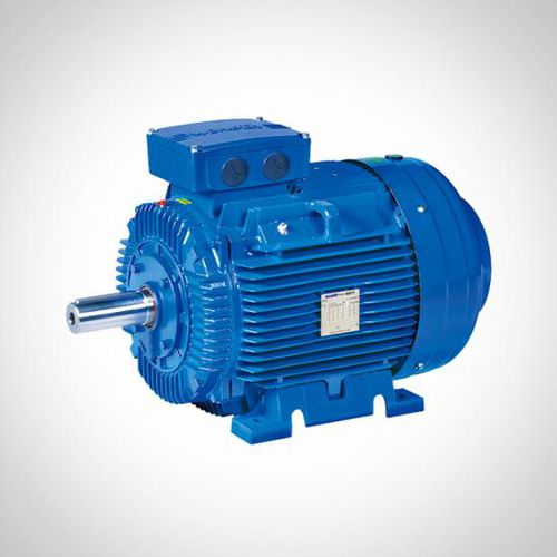 非同期モーター - ZWE series - Fuzhou Wonder Electric Co.,Ltd. - 3相 / 400V / 鋳鉄製