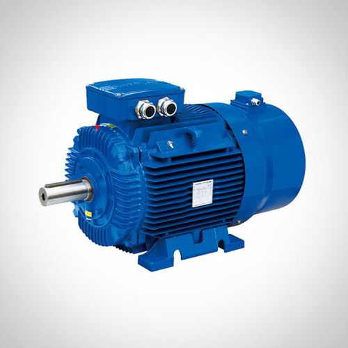 誘導モーター - WVF series - Fuzhou Wonder Electric Co.,Ltd. - 3相 / 400V / 鋳鉄製