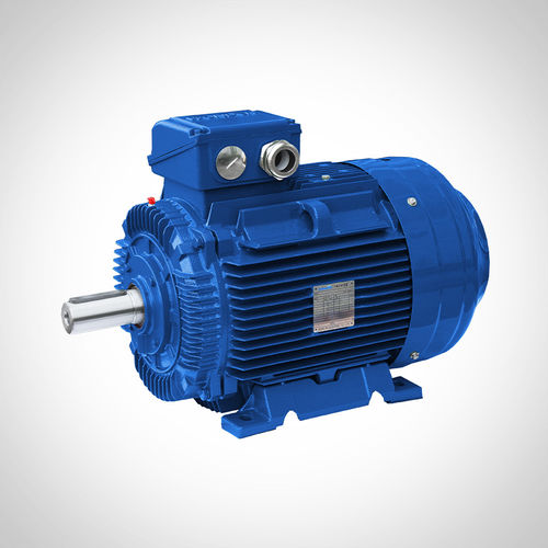 誘導モーター - SSWE250M2 - Fuzhou Wonder Electric Co.,Ltd. - AC / IE4(スーパープレミアム効率クラス) / 工作機械用