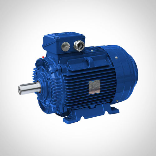 非同期モーター - SWE315L2-2-200KW - Fuzhou Wonder Electric Co.,Ltd. - AC / 粉砕機用 / 鉱業用