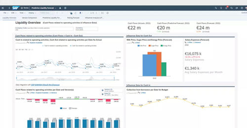 財務管理ソフトウェア - S/4HANA Cloud for cash management - SAP - モニタリング / 制御 / リポーティング用