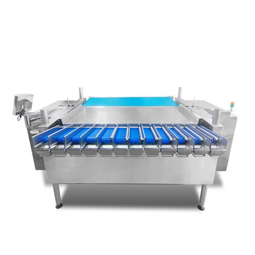 リニア計量機 - TY-ZX122M100-01-11 - Zhongshan TO-U Packaging Machinery Co.,Ltd - 連続 / 野菜用 / 自動