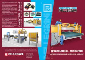 BRUSHING MACHINES Catalogue-1