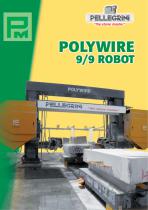 Scheda Polyriwe Robot 9/9-1