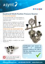 Quadracell Multi-Position Pressure Reactor - 1