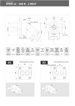 2PEM Bent Axis Motor - 16