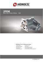 2PEM Bent Axis Motor - 1