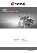 2PM Bent Axis Motor - 1