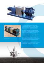MAGMO MASSECUITE PUMPS-3