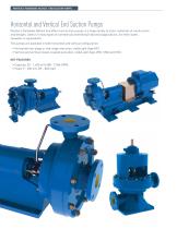 END SUCTION PUMPS 2013 - 2