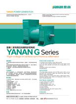 YANAN HIGH VOLTAGE SERIES ALTERNATOR - 1