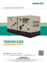 YANAN YN-YCG SERIES YUCAI GAS GENERATOR SETS - 1