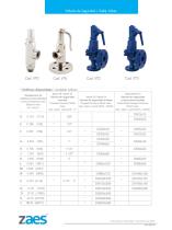 Safety Valves - 10