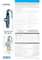 Safety Valves - 14