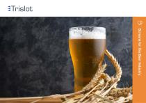 Wedge wire screens for the beer industry-1