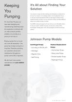 INDUSTRIAL PUMPS - 2