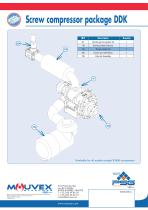 DDK Screw Compressor-2