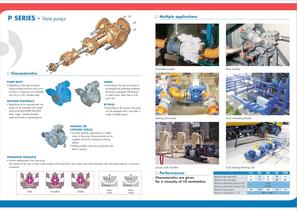 P-SERIES Vane Pump-2