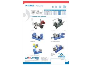 P-SERIES Vane Pump-3