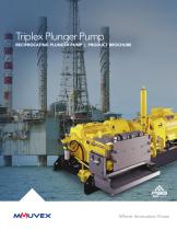 Triplex Plunger Pump - 1