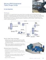 Triplex Plunger Pump - 5