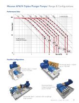 Triplex Plunger Pump - 7