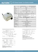 NTK-02EX Electric Actuator - 2