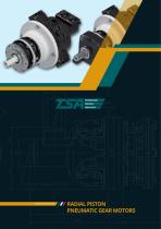 RADIAL PISTON PNEUMATIC GEAR MOTORS-1