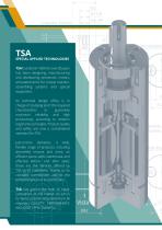 RADIAL PISTON PNEUMATIC GEAR MOTORS-4