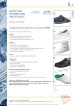 Shoes-1