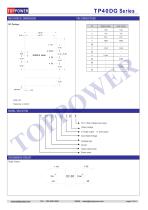 TP40DG 40W dc-dc converter-3