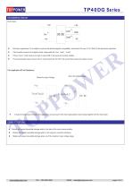 TP40DG 40W dc-dc converter-4