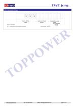 TPVT series 1W DC/DC-4