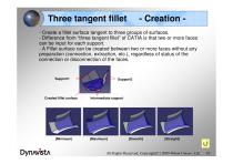 DYNAVISTA Fillet - 11