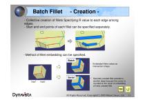 DYNAVISTA Fillet - 12