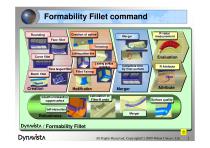 DYNAVISTA Fillet - 3