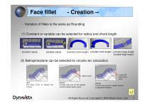 DYNAVISTA Fillet - 8