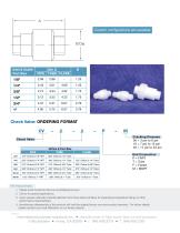 IPS PTFE Check Valve Catalog-2