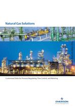 Natural Gas Solutions Brochure (Middle East and Africa Only) - 1