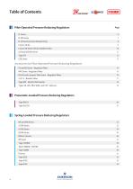 Solutions for the Natural Gas Industry - 4