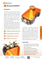 SMASRTIS Datasheet-2