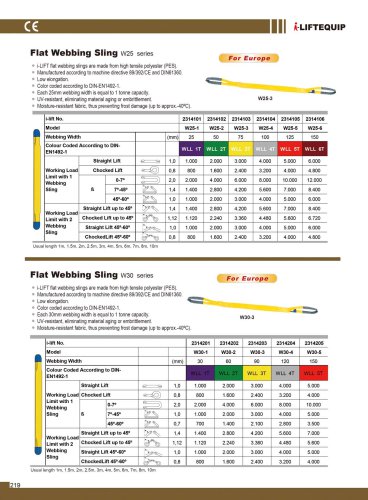 MATERIAL HANDLING EQUIPMENT/I-LIFT/FLAT WEBBING SLING/W30 SERIES